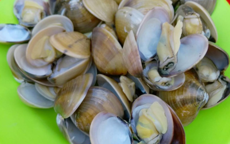 Best Clams in Melaka — FoodAdvisor